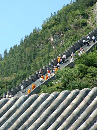 China0016