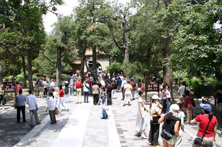 China0236