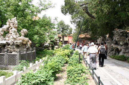 China0242