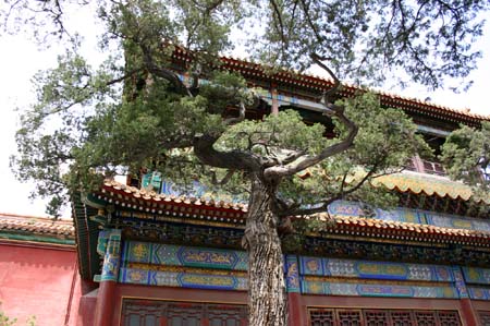 China0252