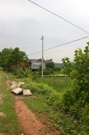 China0348
