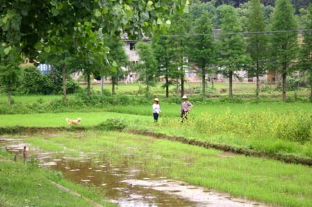 China0352