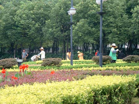 China0424