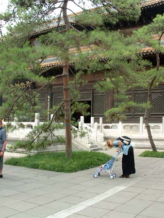 China0682