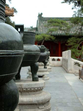 China0685