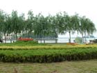 China0429
