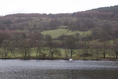 CRW_5906