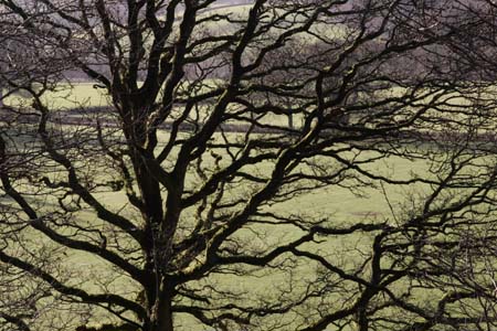 CRW_5996