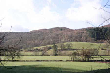 CRW_6011