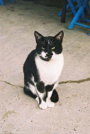 Lindos2002-F5-21