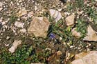 Lindos2002-F4-20