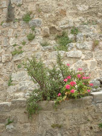 Lindos2003-C2-017
