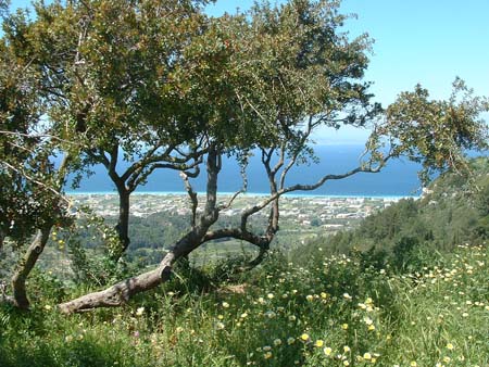 Lindos2003-C2-109