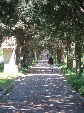 Lindos2003-C2-113