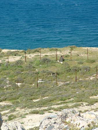 Lindos2003-C2-127