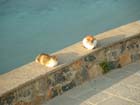 Lindos2003-C1-001