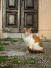 Lindos2003-C1-009