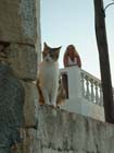 Lindos2003-C1-010