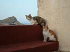Lindos2003-C1-012