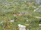 Lindos2003-C1-089