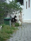 Lindos2003-C1-096