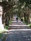 Lindos2003-C2-114