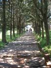 Lindos2003-C2-115