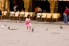 CRW_8358