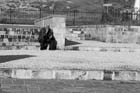 CRW_8436