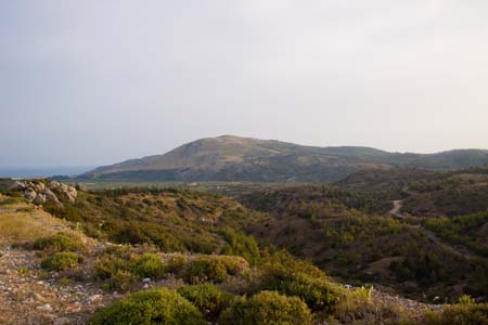 _MG_4621