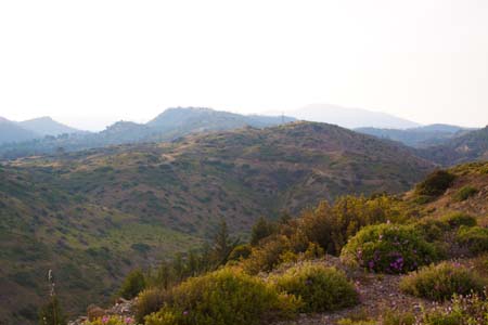 _MG_4623