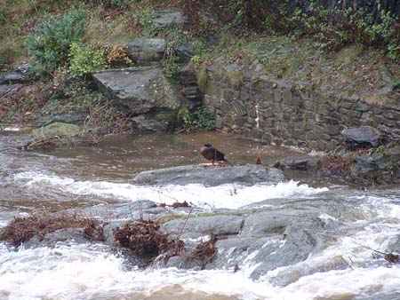 Porlock2002-004