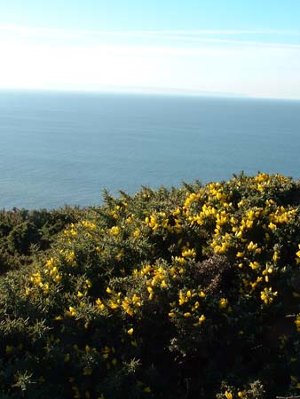 Porlock2002-123