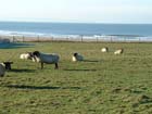 Porlock2002-102