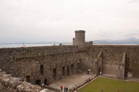 _MG_8413