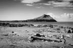 _MG_8288-Edit